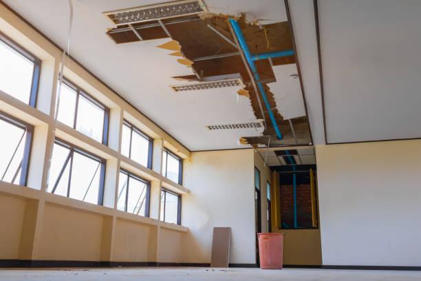 Best Water damage restoration near me  in Raymondville, TX