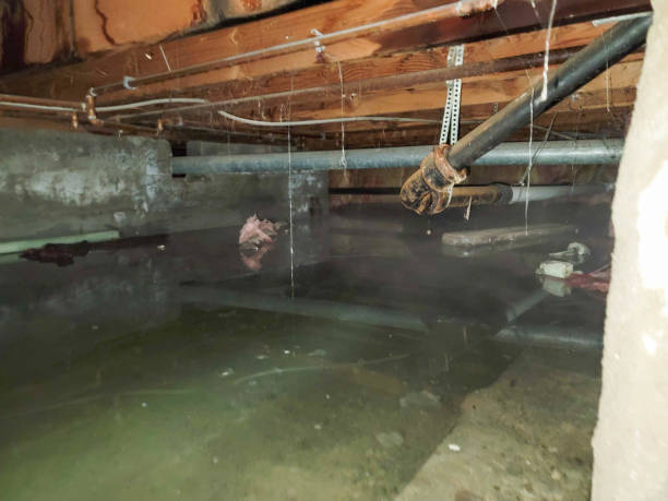 Best 24-hour water damage restoration  in Raymondville, TX