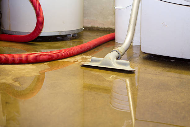 Best Sewage cleanup and water damage restoration  in Raymondville, TX
