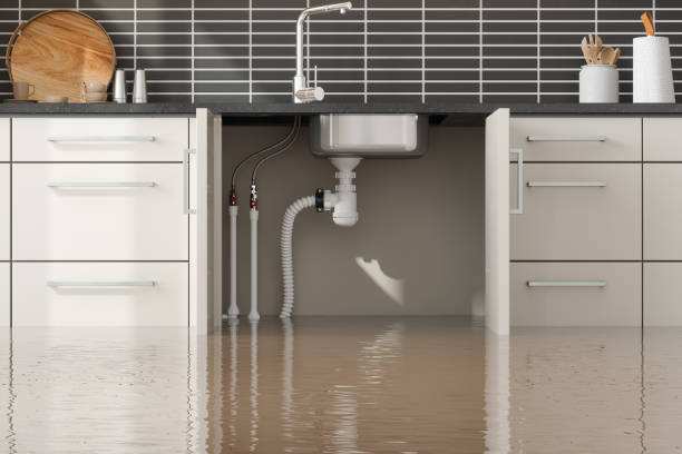 Best Emergency water damage restoration  in Raymondville, TX